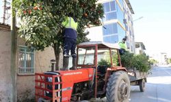 Başkan Ercan, gençlerin talebini yerine getirdi