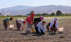 Başkan Yetişkin’den 8 Mart Dünya Kadınlar Günü mesajı