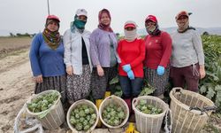 Başkan Yetişkin'den kadınlara büyük destek