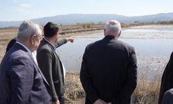 Bayraktar: “Afetten 165 bin dekar tarım arazisi etkilendi"