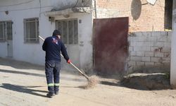 Bozdoğan bayrama hazırlanıyor