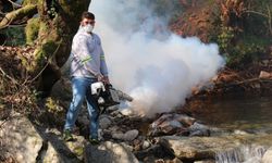 Bozdoğan'da ilaçlama çalışmalarını aralıksız sürdürülüyor