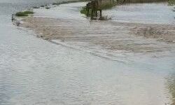 Büyük Menderes Nehri, İncirliova’da yine taştı