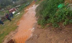 Aydın'da Çakırlar Çayı taştı, yıkılma riski olan ev tahliye edildi