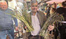 Dağlardaki şifa kapış kapış satılıyor: Nazilli’de baharın gözdesi