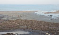 Didim'de yine deniz çekildi