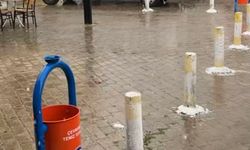 Didim'de Mart yağmuru