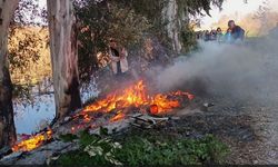 Aydın'daki yangına doğaseverlerden müdahale