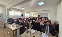 Efeler meclisinde içkili alan gerginliği