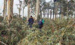 Efeler’de güvenli yeşil alan seferberliği: Tepecik Mesire Alanı yenileniyor