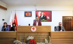 Efeler’de tahsisler meclisten geçti