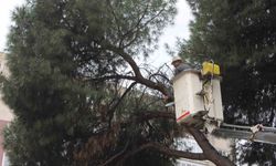 Aydın'da facia önlendi