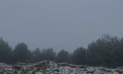 Nazilli’de bahar yerini kışa bıraktı