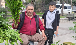 Aydın dağlarında yetişiyor: Köylünün kazanç kapısı oldu