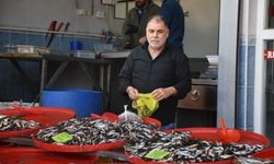 Karacasu'nun 38 yıllık balıkçısı: Yaz-kış balıksız bırakmıyor