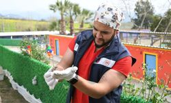 Kuşadası’nda kaplumbağalar için özel yaşam alanı oluşturuldu