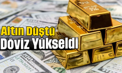 Altın Düştü, Döviz Yükseldi