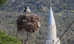 Aydın'da bir kampanya sona erdi