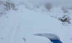 Bozdoğan'da kar sürprizi