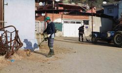 Nazilli bayrama pırıl pırıl girecek