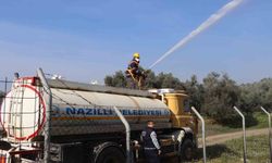 Nazilli'de mücadele tam gaz devam ediyor