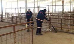 Nazilli'de hayvan pazarı 7 ay sonra yeniden açılıyor