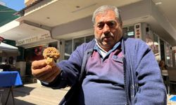 Nazilli’de kuzu göbeği pazarın gözdesi oldu: Bu mantar altınla yarışıyor