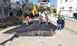 Nazilli’de yol çalışmaları devam ediyor