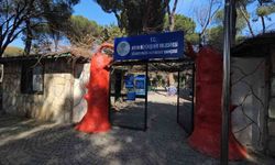 Otobüs bagajından hayvanat bahçesine