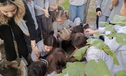 Söke’de Orman Haftası’nda fidanlar gelecek için toprakla buluştu