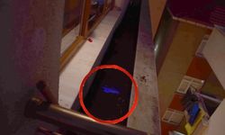 Vahşi cinayeti, 'Aydın' detayı çözdü