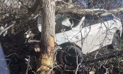 Bozdoğan’da feci kaza: 2 kişi öldü 1 kişi ağır yaralandı