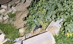 Nazilli'de kanlı olay: Gözünü kırpmadan arkadaşını vurdu