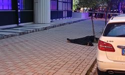 Aydın’da acı olay: 16 yaşındaki Emre ölüme atladı