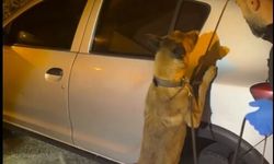 Aydın’da zehir operasyonu: 2 ilçede 2 tutuklama!