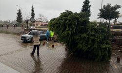 Aydın'da sağanak vurdu, duvar çöktü: Sıfır kilometre Togg enkaz altında kaldı