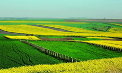 TOKİ’den 45 ilde dev arsa satışı: İçlerinde Aydın'da var