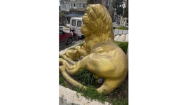 Bunu yapan insan olamaz!