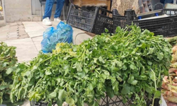 Sofraların gizli kahramanı: Ekşi tadının ardında güçlü etki