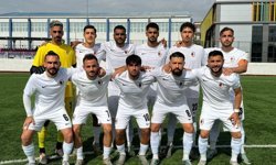 90 yıllık çınar küme düşme yolunda