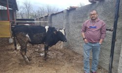 Bu anlar gülümsetti: Heykeli gerçek sandı, kaçtı