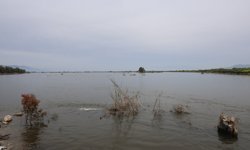 Aydın'da içler acısı görüntü: Taşın havadan böyle görüntülendi