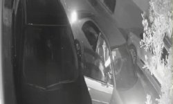 Gece dehşeti! Kadını yol kenarına atıp kaçtı