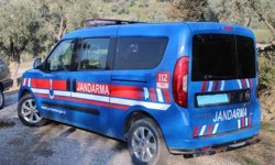 Aydın'da acı manzara: Ağaca asılı halde bulundu