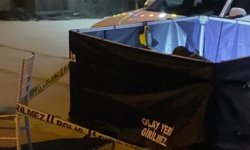 Aydın'daki cinayette flaş gelişme: Şüpheliler teslim oldu