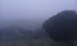 Karacasu güne sisle uyandı