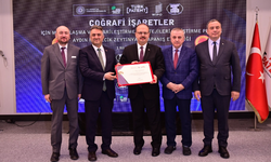 Aydın Memecik Zeytinyağı dünyaya açılıyor!