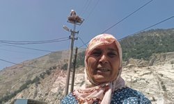 Aydın'da köy halkı el ele verip leyleklere yuva yaptı