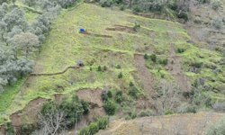 Aydın'da üç günlük bilanço: Heyelanlar oluştu