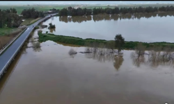 Aydın'da sel vurdu, çiftçi zorda